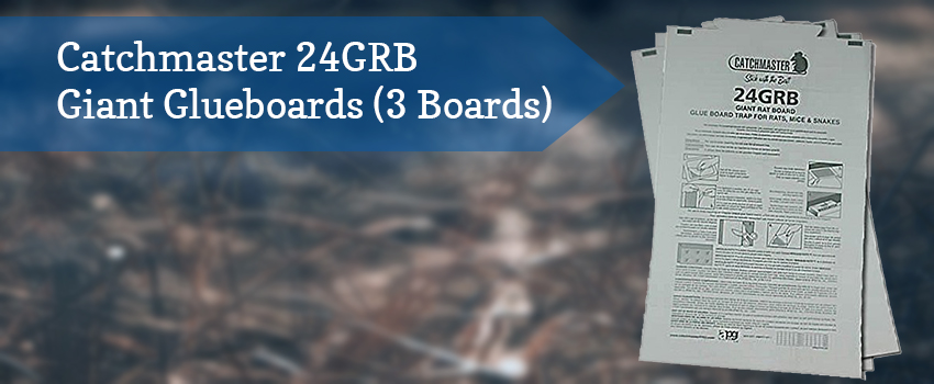 catchmaster-24grb-giant-glueboards3boards