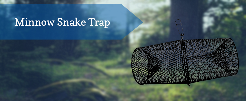 minnow-snake-trap