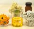 gnat repellent essential oils