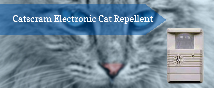 catscram-electronic-cat-repellent