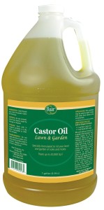 Baar Caster Oil Mole Repellent
