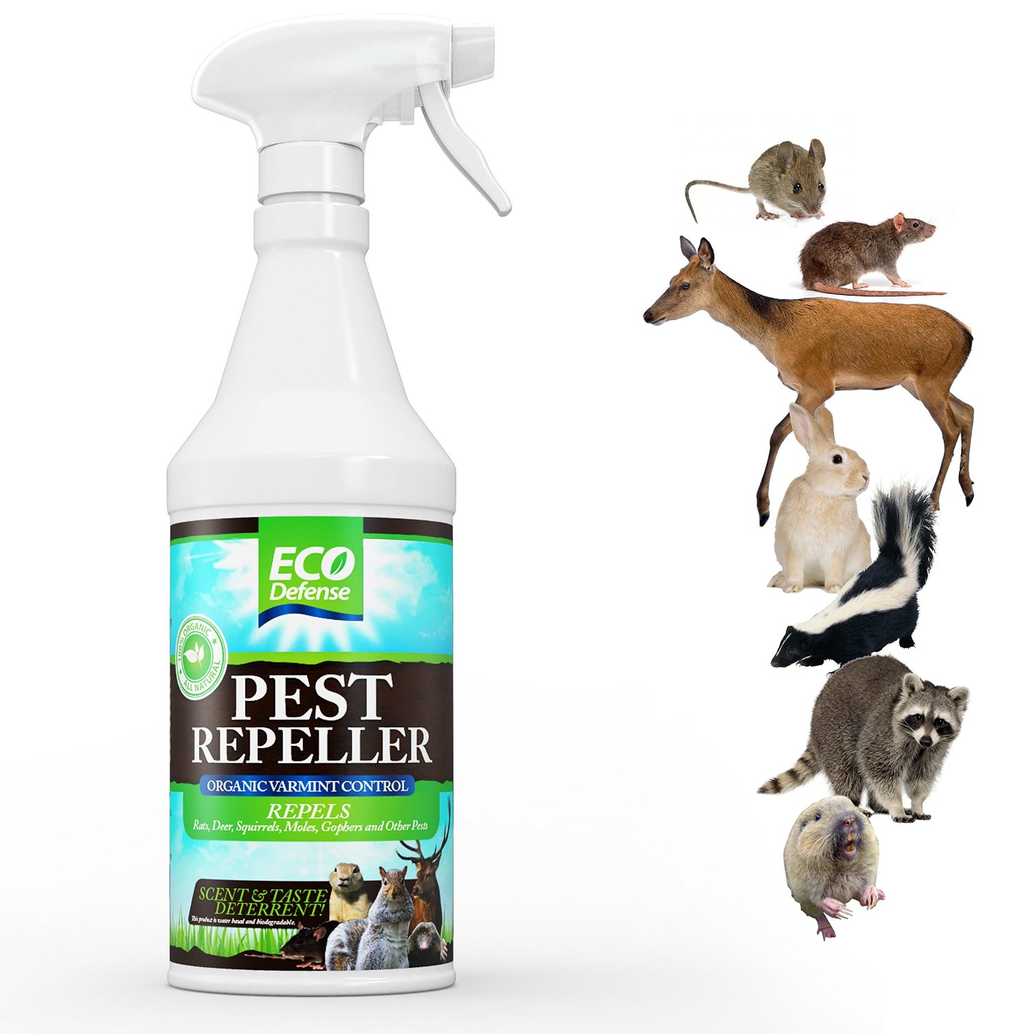 Eco Defense Pest Repelling Spray