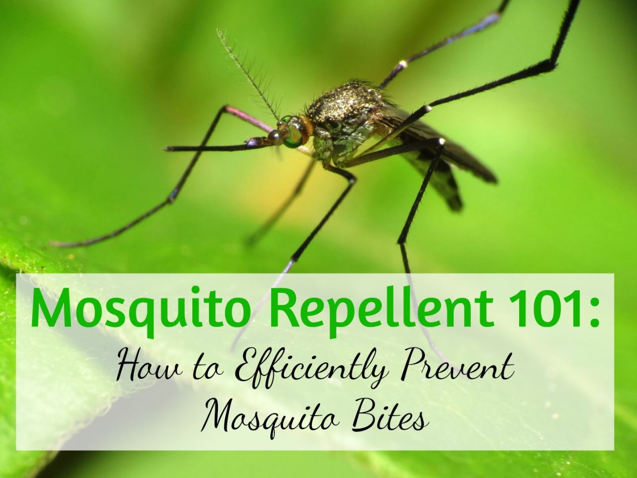 common mosquito repellent