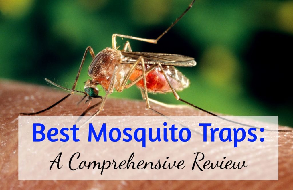 Best Mosquito Traps - Comprehensive Guide