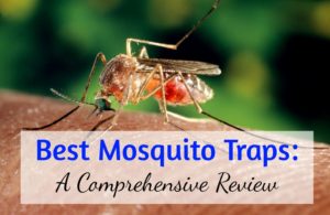Best Mosquito Trap - Comprehensive Guide