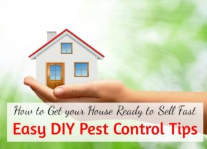 How to Get Your House Ready to Sell Fast - Easy Do It Yourself Pest Control Tips