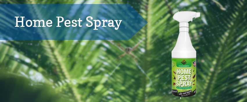 home-pest-spray
