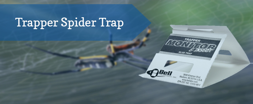 trapper-spider-trap
