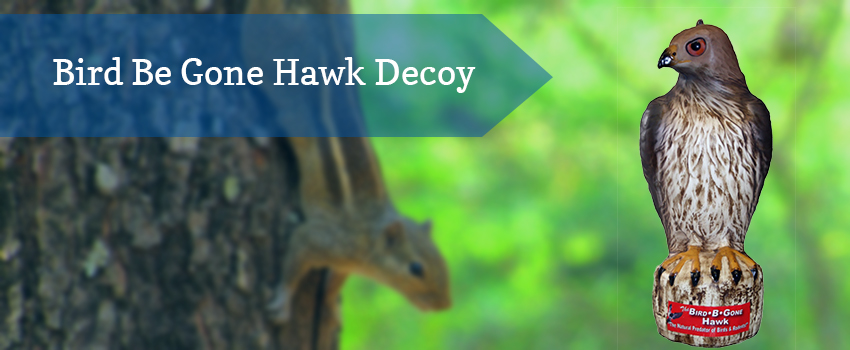 bird-be-gone-hawk-decoy