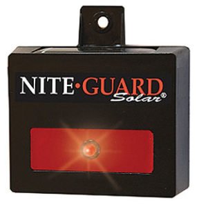 nite guard solar